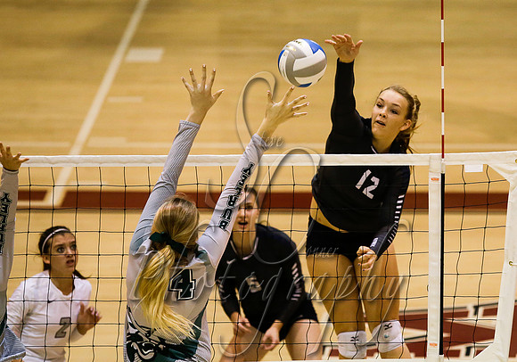 Skyview vs Burley 001
