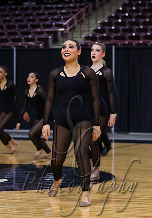 Idaho Arts Dance 007