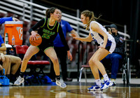 Borah v Timberline 008