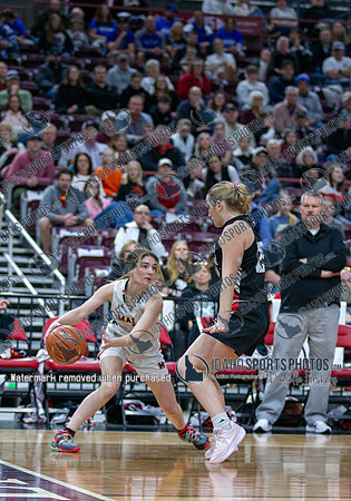 014 02222025 3A Girls State Basketball Parma v Malad 004