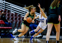 Borah v Timberline 019