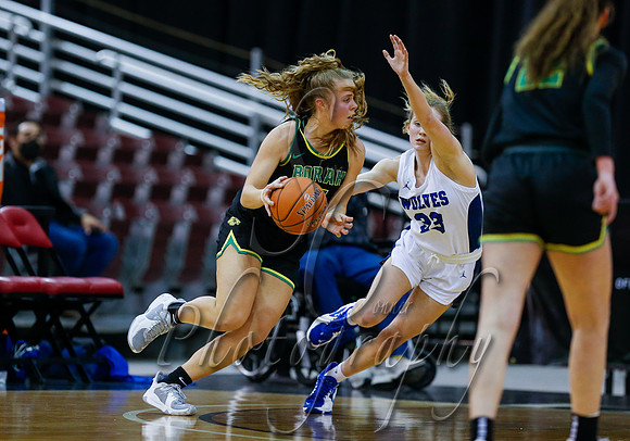 Borah v Timberline 019