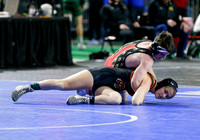 2019 Various State Wrestling  020