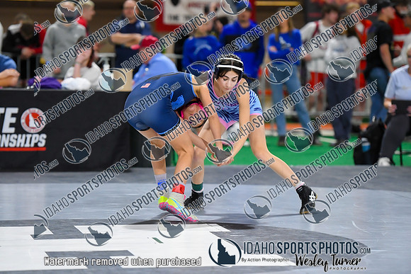 006 State Wrestling friday morning girls 1_-5
