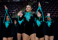 Twin Falls Dance 009