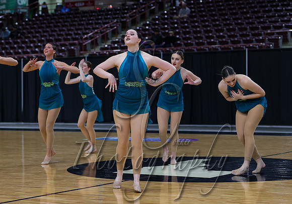 Skyview Dance 008