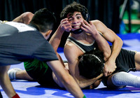 2019 State Wrestling Day 2 015