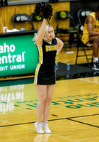 Western Wyoming vs CSI 034