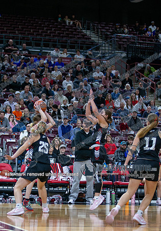 014 02222025 3A Girls State Basketball Parma v Malad 005