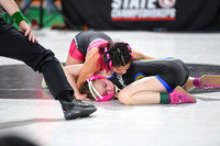 006 State Wresting Championship sat. Afternoon 3-4-5-6 1 -19