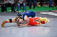 006 State Wrestling friday morning Girls 1 -18