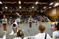 006 Burley Cheer Districts 1 -7