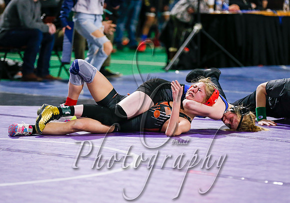 State Wrestling Action Day 2 017