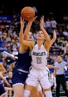 4A Championship - Skyline vs. Burley 003
