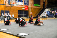 006 Murtaugh cheer Districts 1 -16