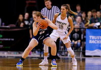 4A Championship - Skyline vs. Burley 006