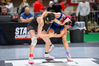 006 State Wrestling friday Evening girls 1_-5