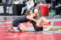 006 State Wrestling friday Evening girls 1_-3