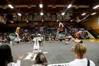 006 Burley Cheer Districts 1 -5