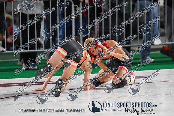 006 State Wrestling friday morning Girls 1 -19