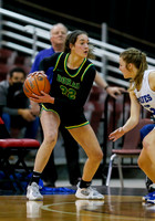 Borah v Timberline 005