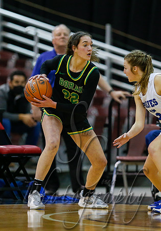 Borah v Timberline 005