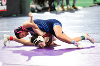 006 State Wrestling friday morning Girls 1 -7