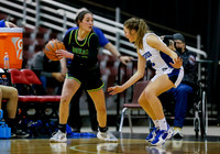 Borah v Timberline 007