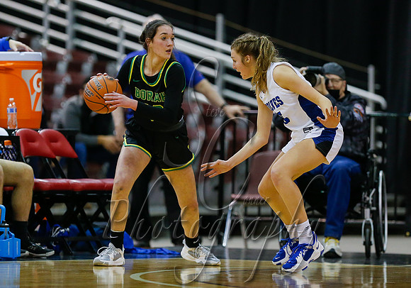 Borah v Timberline 007