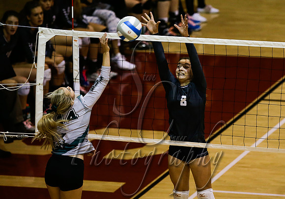 Skyview vs Burley 016