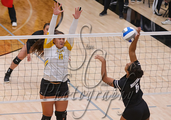 Western Wyoming vs. CSI 010