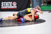 006 State Wrestling friday Evening girls 1_-17