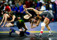 State Wrestling Day 2 014
