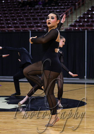 Idaho Arts Dance 011